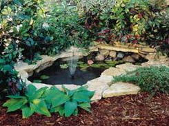  Comfy Country Creations features pool and deck pond kits.