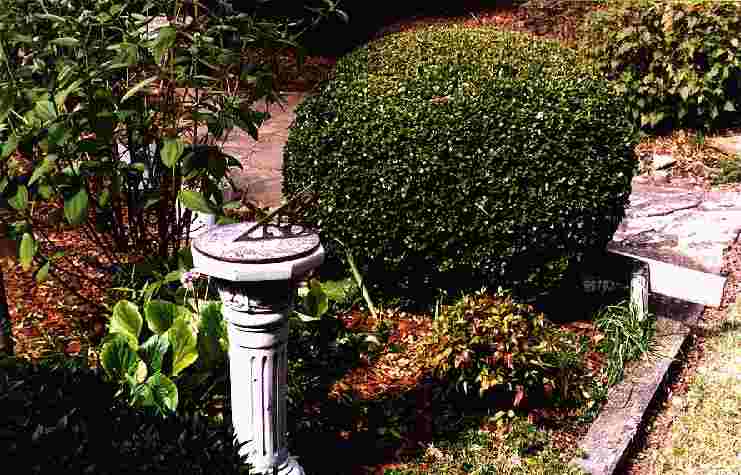 Birdbaths and fountains can enhance a side garden.